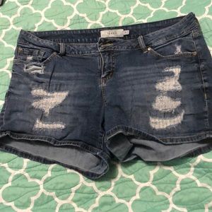 Torrid Jean shorts
